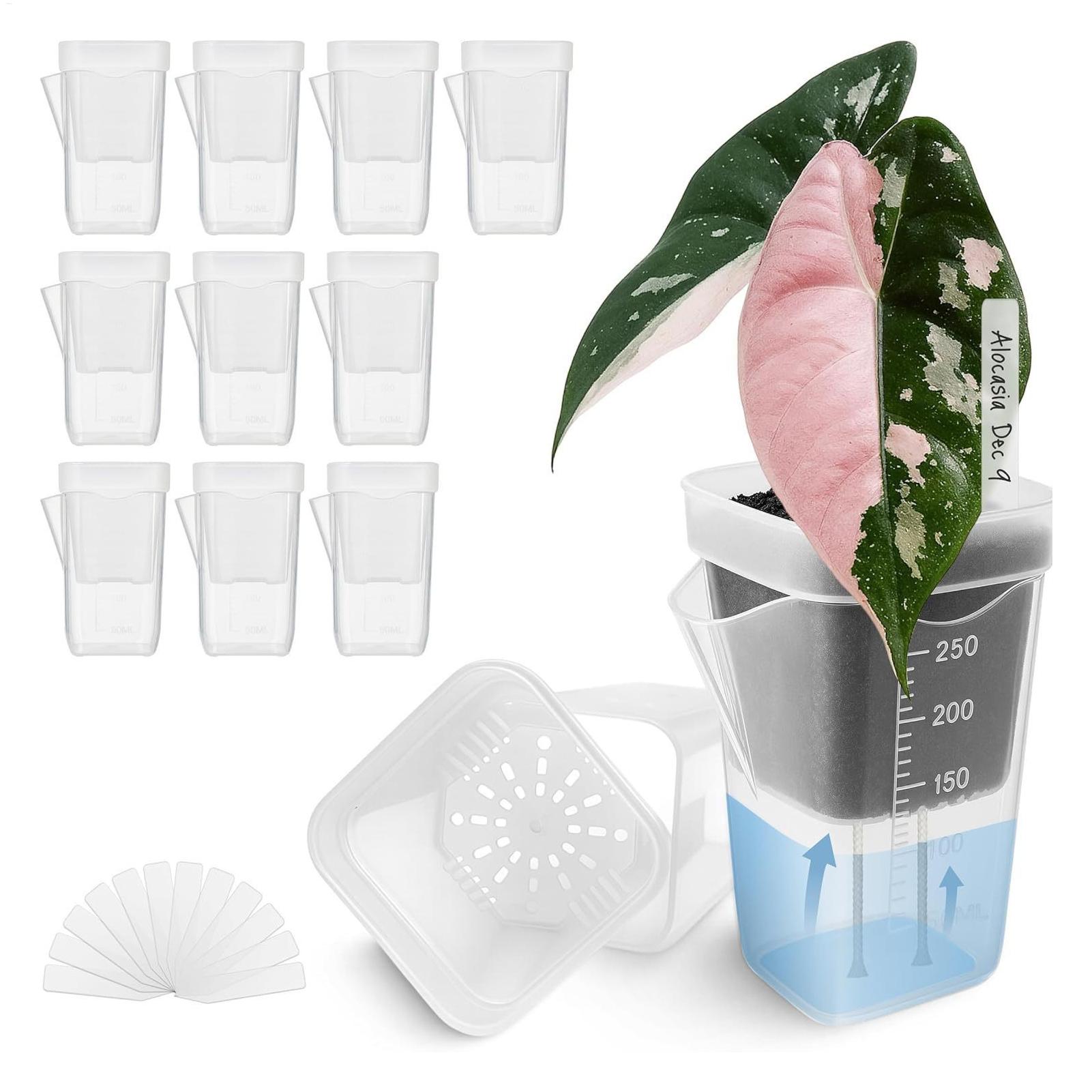 Hydroponic Grow Pod - 10개 실내 식물 화분 투명 자가