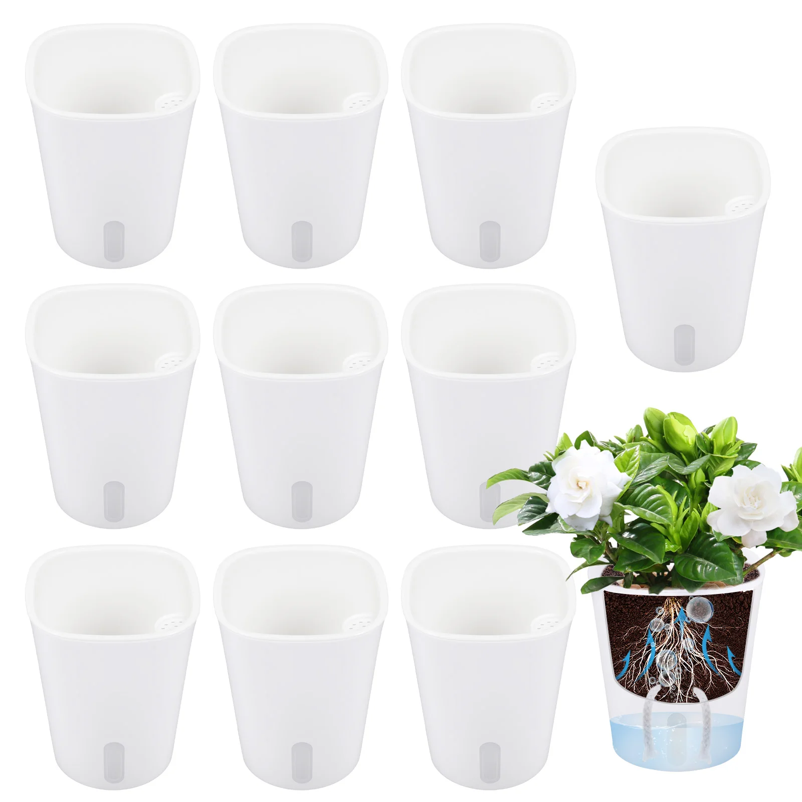 Hydroponic Grow Pod - 10개 자가 급수 화분, 게으른 사람들을
